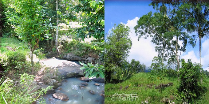 Slider-Area-Padi-2ViewS
