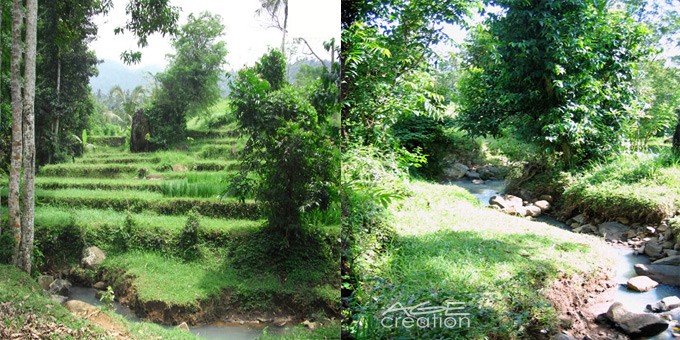Slider-Area-Padi-ViewRiver-LowSpace
